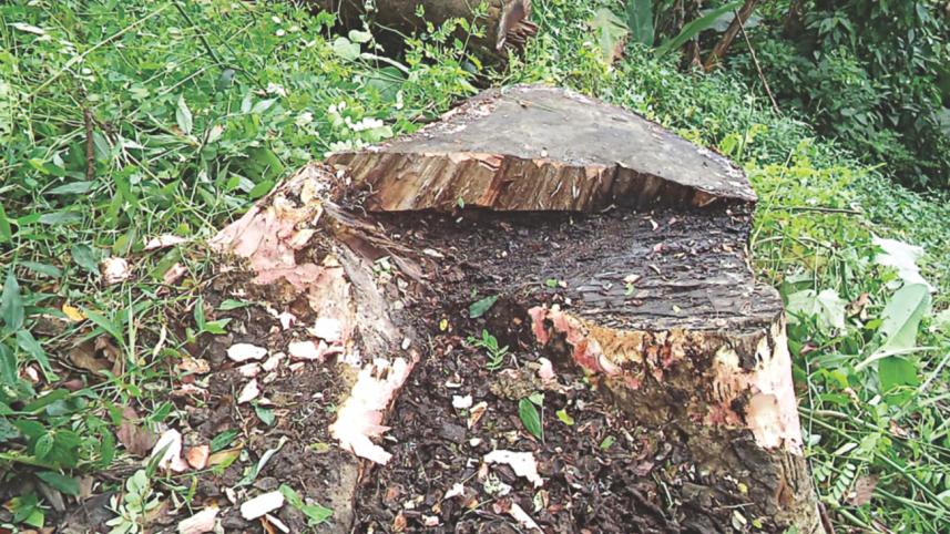 Madhabkundo eco-park.jpg