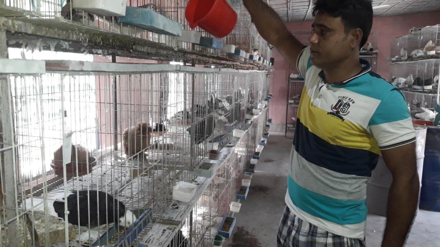 Magura pigeon farmer.jpg