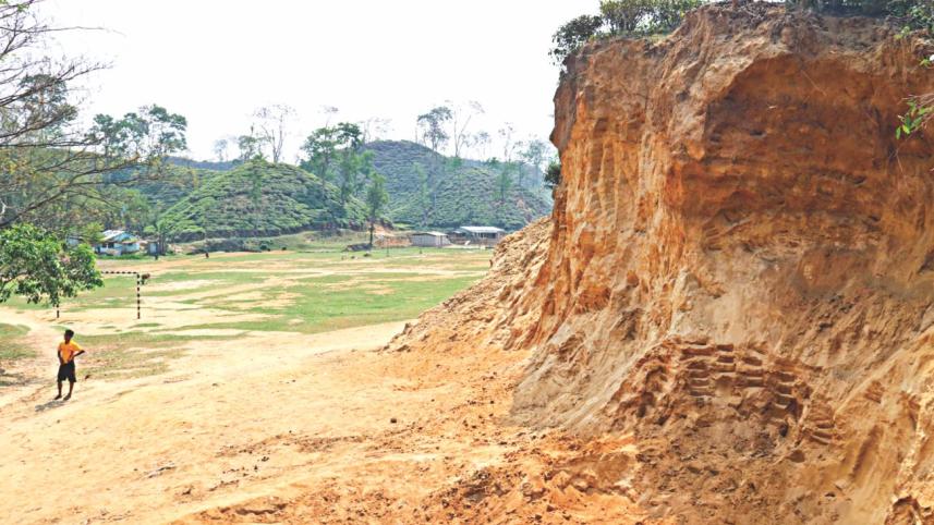 Malnichhara Tea Garden 1.jpg