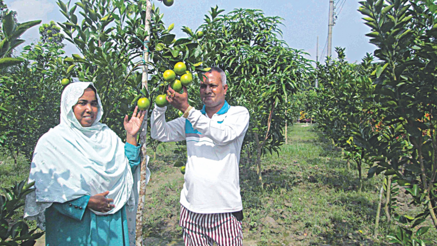 malta orchard.jpg
