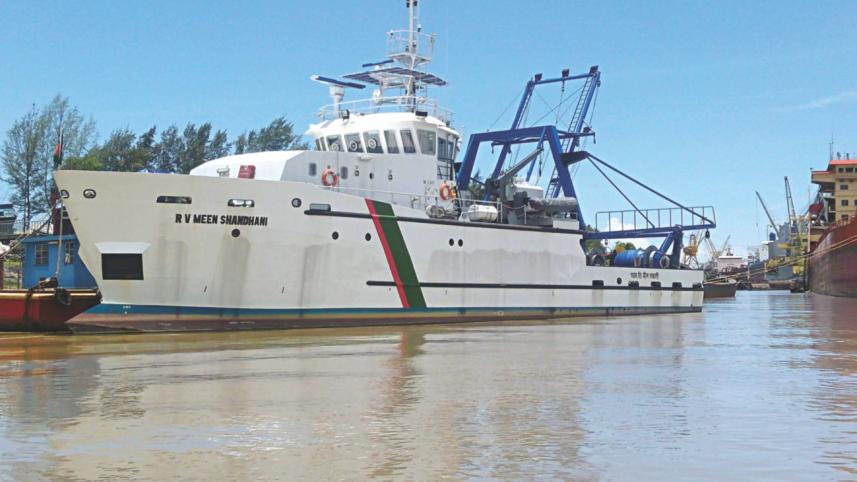 marine fish stock.jpg