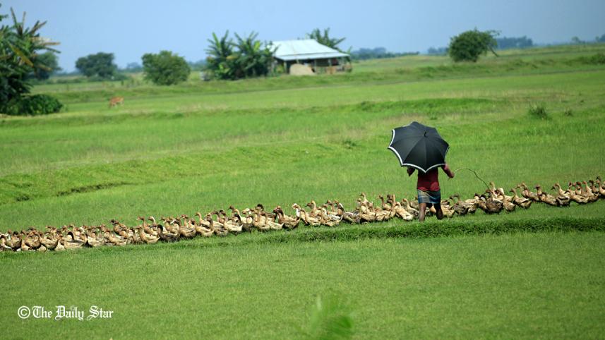 MDB photo June 11.jpg