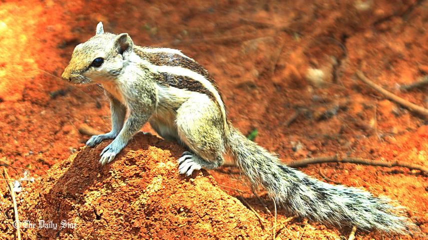 MDB photo May 24.jpg