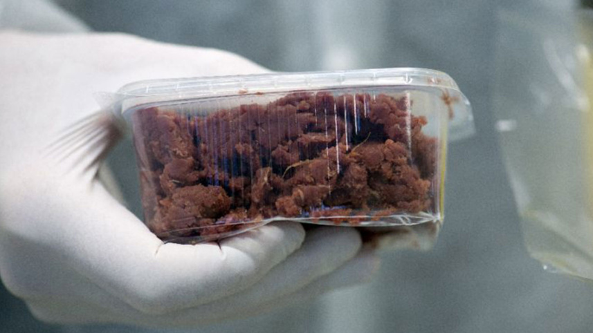 Meat.jpg