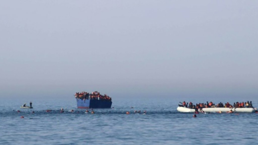 Migrants-wb.jpg