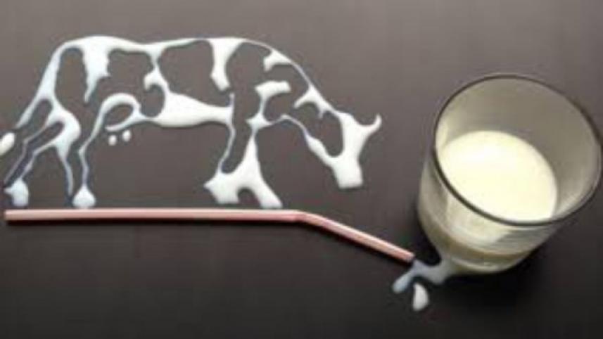 Pasteurised milk adulteration