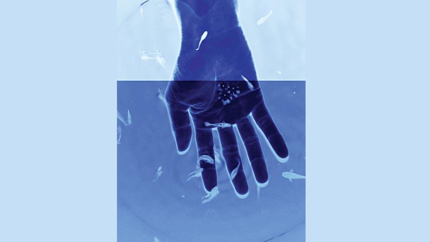 minds-eye.jpg
