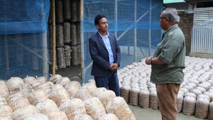 Miracle mushrooms.jpg