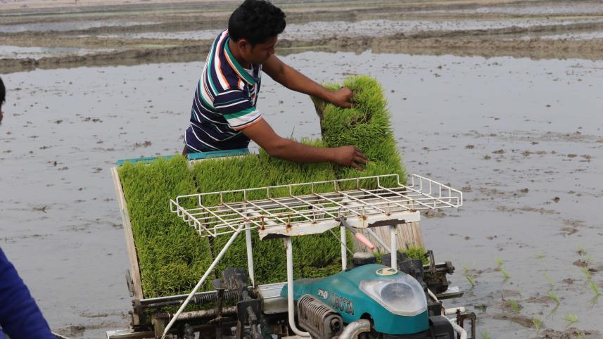 Modern paddy farming.jpg