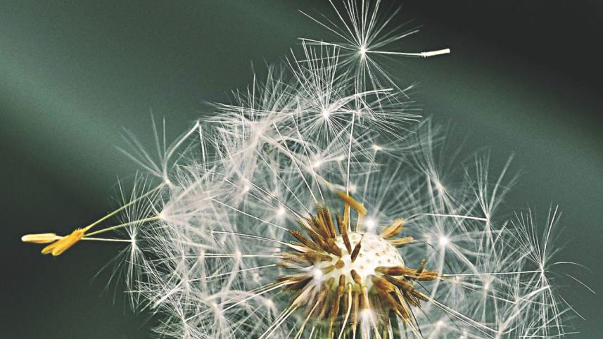 Mor Bhabonere Ki Haowa