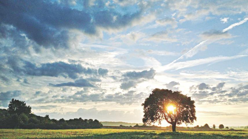 Mornings, Bright and Beautiful