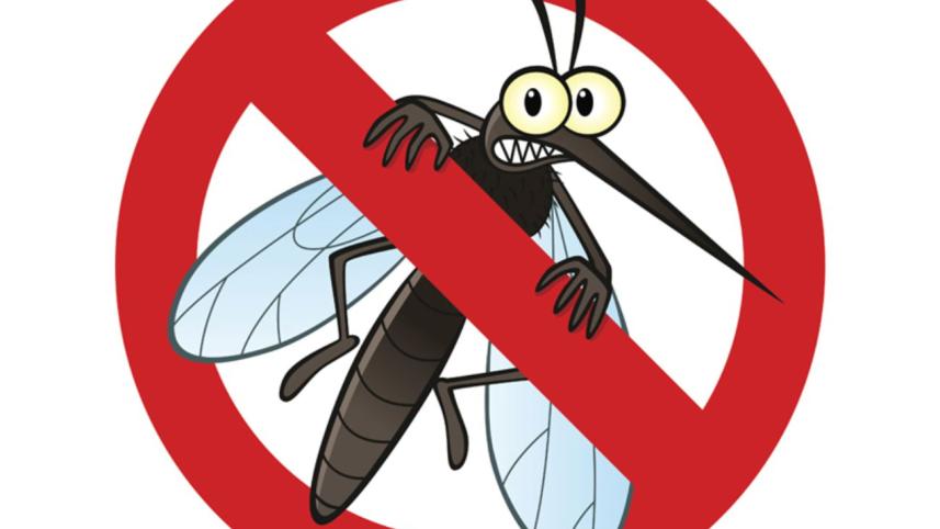 mosquito problem.jpg