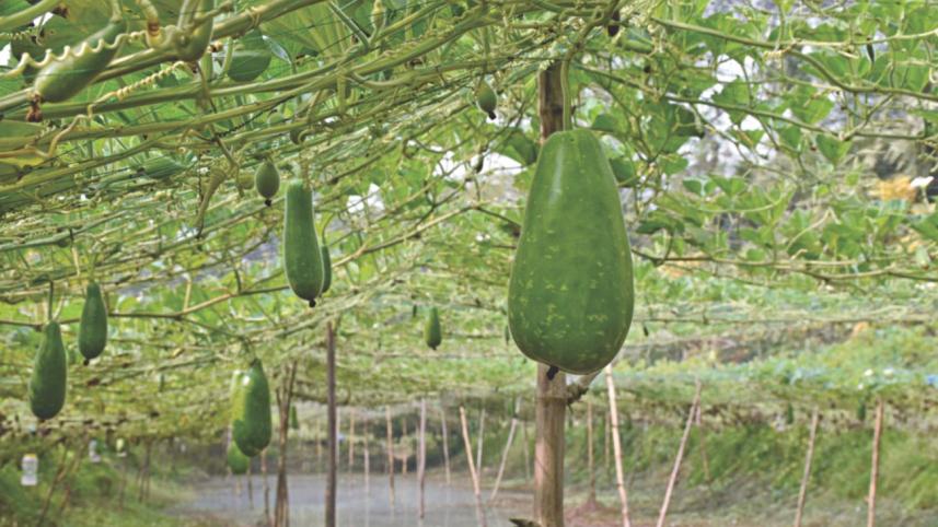 Motor parts trader farmer.jpg