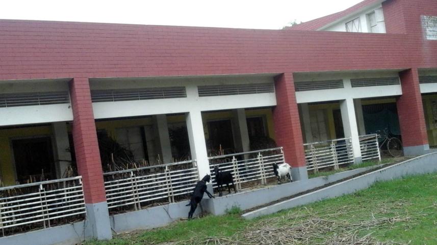 Naogaon School 01.jpg