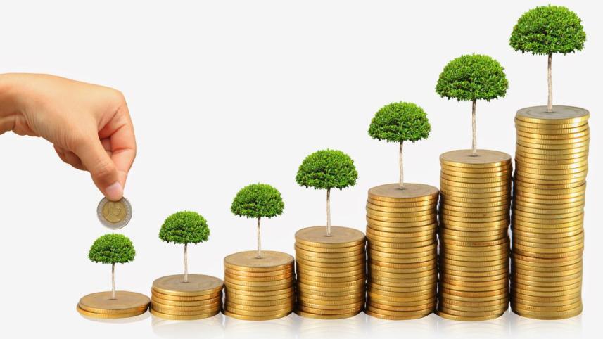 national savings schemes, NSS