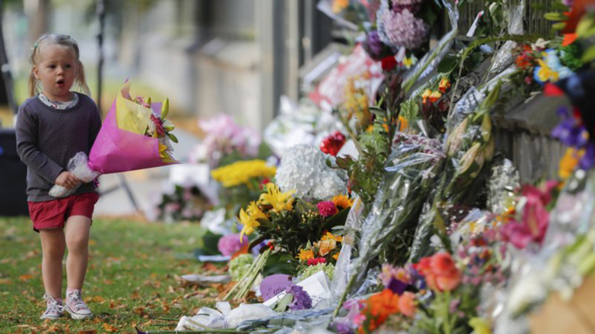 New-Zealand-web.jpg