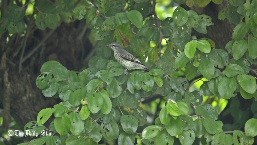 NIB photo Sep 27.jpg