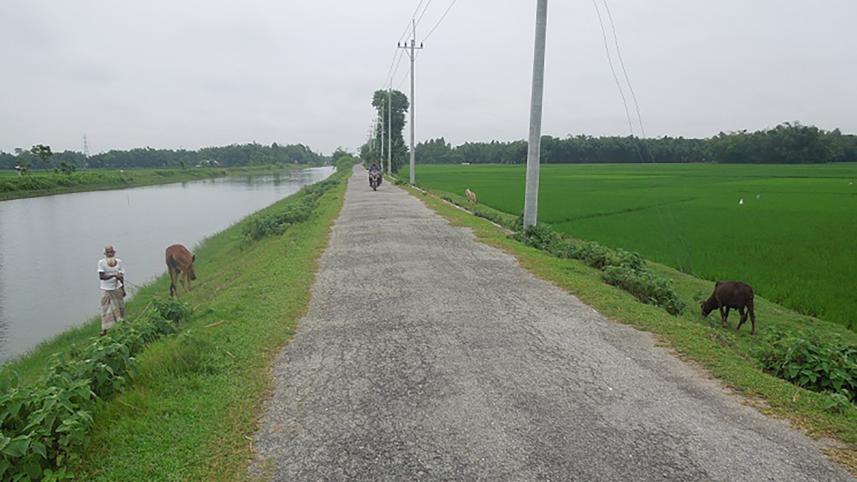 nilphamari road.jpg