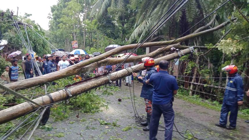 no electricity bulbul.jpg