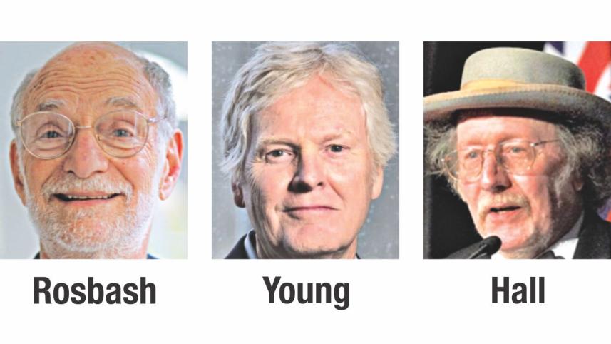 nobel prize.jpg