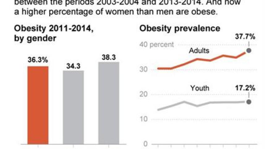 obesity.-web.jpg