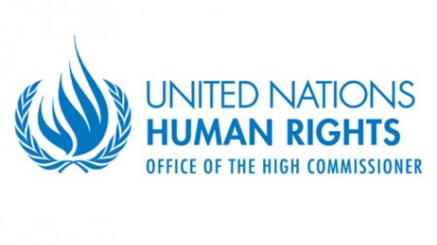 OHCHR-logo-White-450x300.jpeg