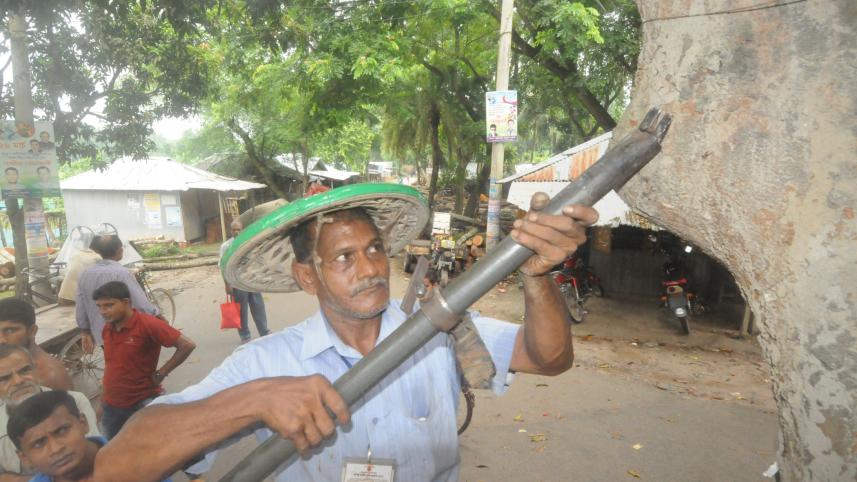 One mans protect trees.jpg