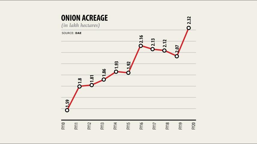 Onion acreage.jpg