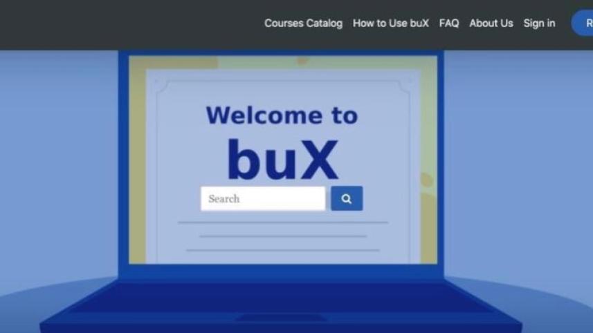 online platform buX.jpg