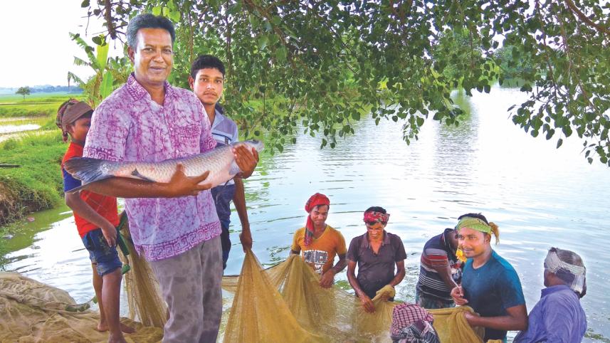 Organic food producer.jpg