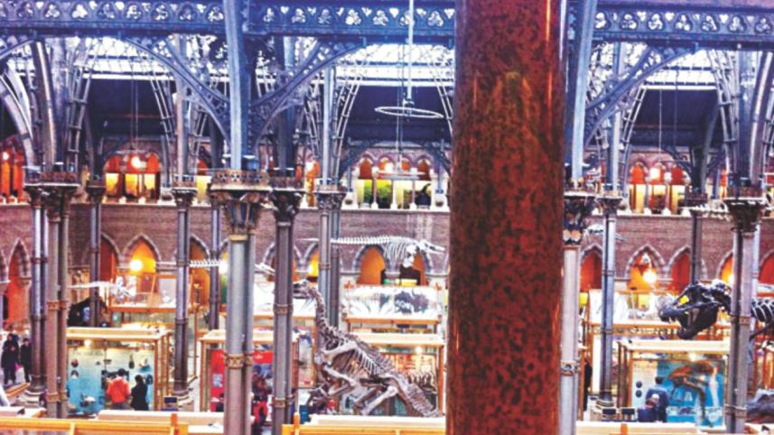 Oxford University Museum of Natural History