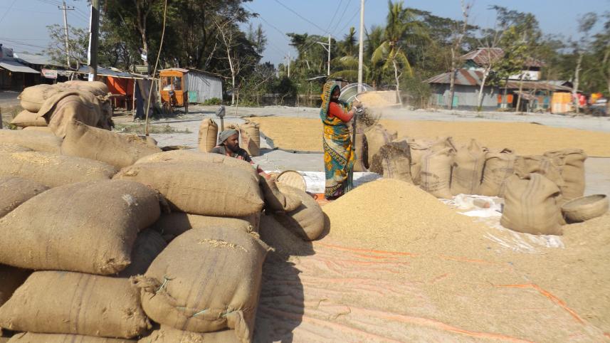 Paddy Procurement by Govt.jpg