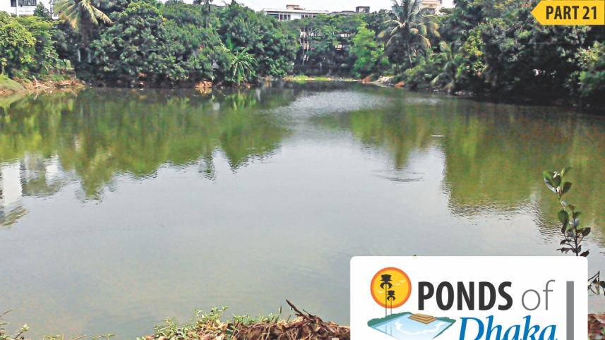 Paikpara Government Staff Quarter.jpg