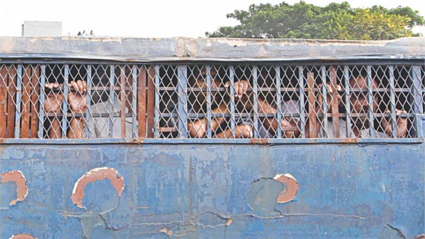 Pandemic and prisons.jpg