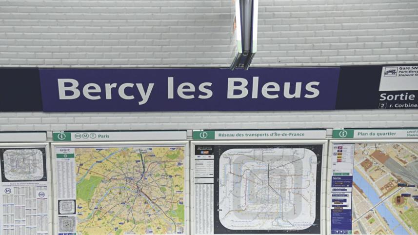 paris metro station.jpg