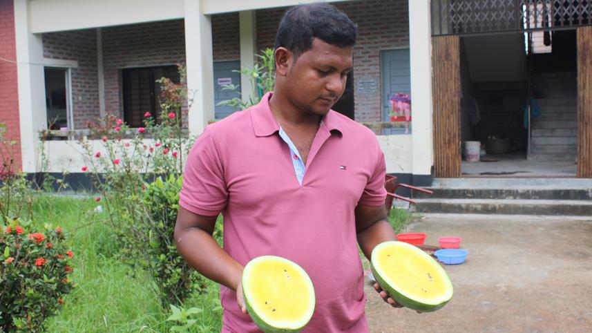 red and yellow watermelon