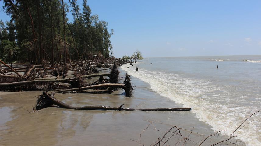 Patuakhali Pic-2.jpg