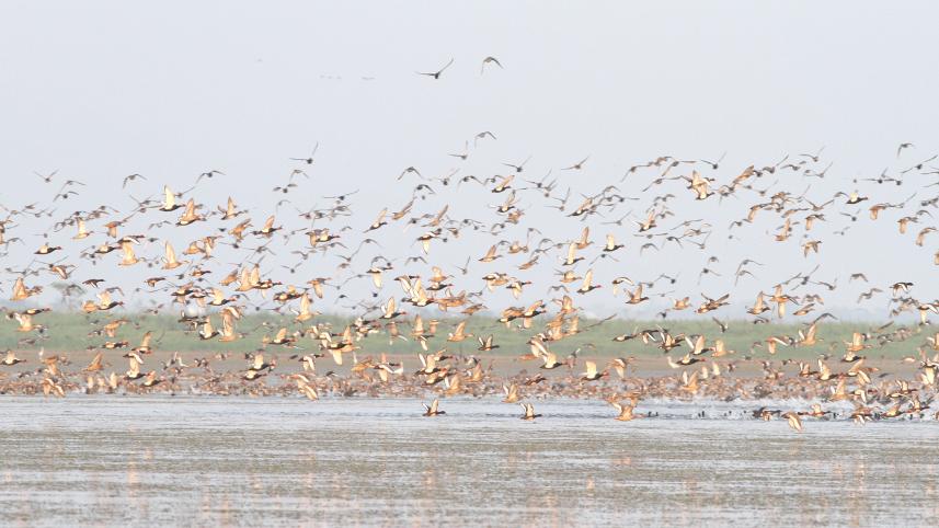 Photo- IUCN, taken from Tanguar Hoar (2).JPG