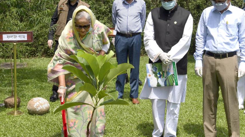 Prime Minister Sheikh Hasina