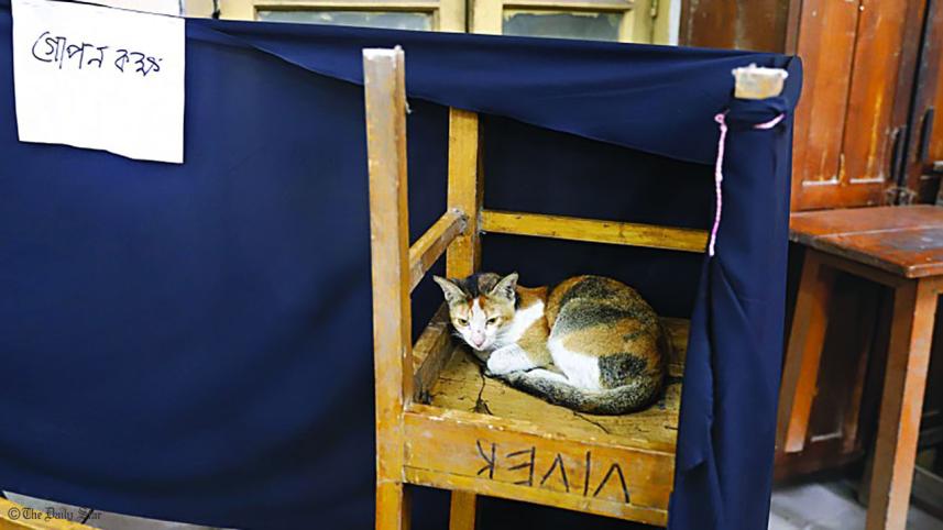 polling_station (1).jpg