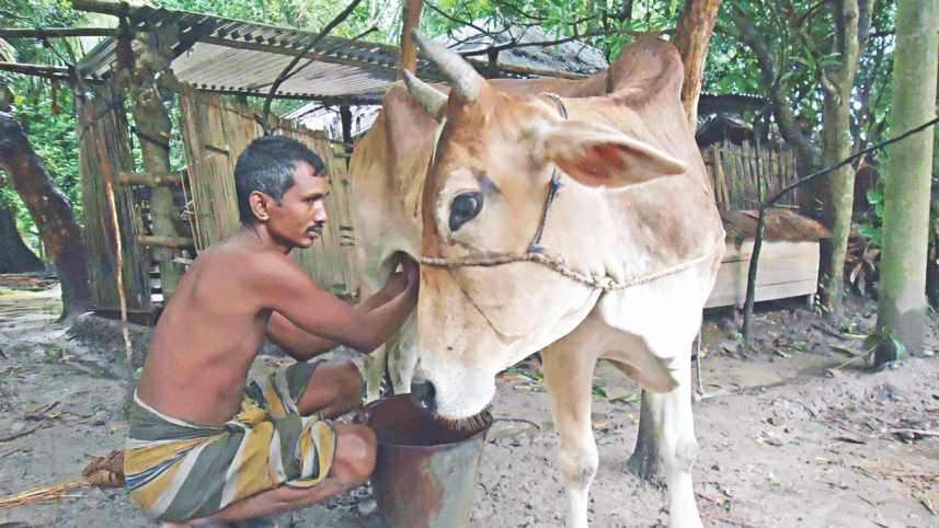 Poor fishermen 1.jpg