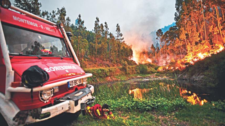 portugal fire 1.jpg