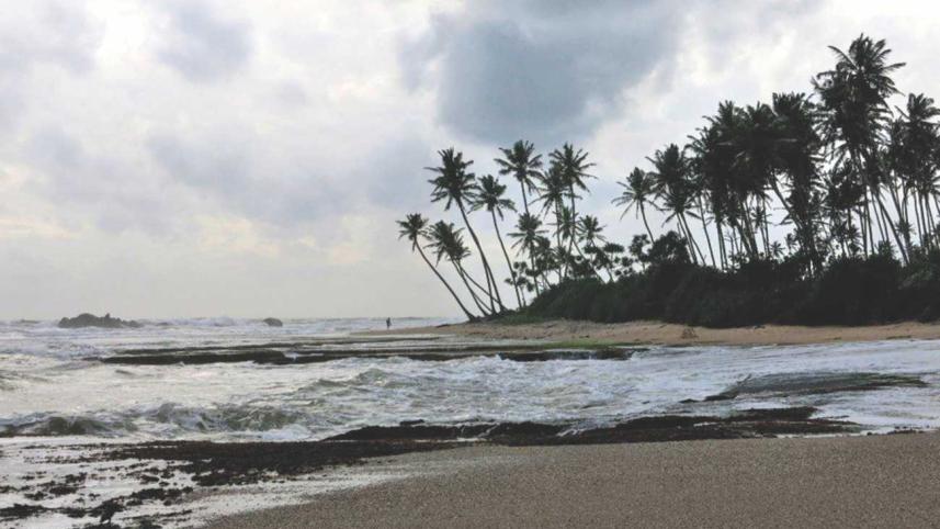 Portuguese Fusion Kingdom