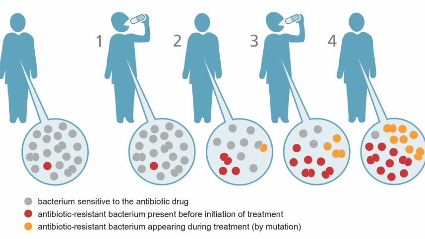 Post-antibiotic era.jpg