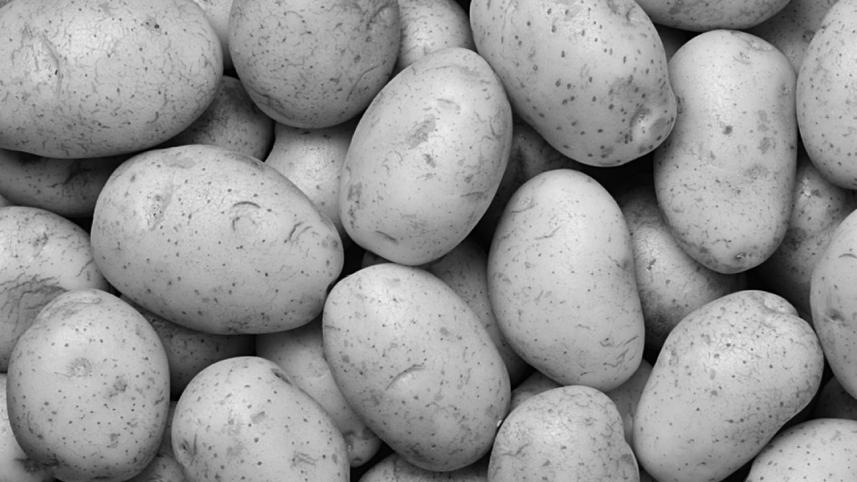 potato.jpg