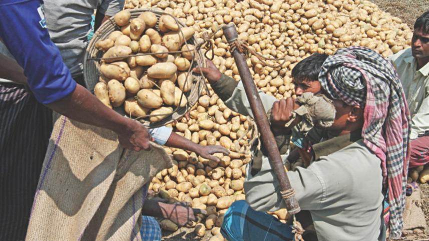 potato price spiral.jpg