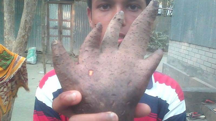 Potatoes-hand.jpg