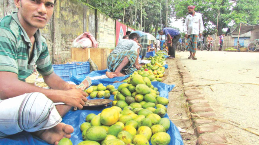 Price fall Thakurgaon.jpg