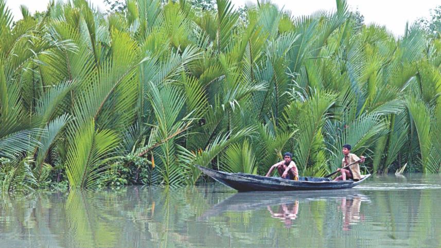 Protecting Sundarbans.jpg