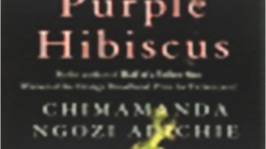 Purple Hibiscus